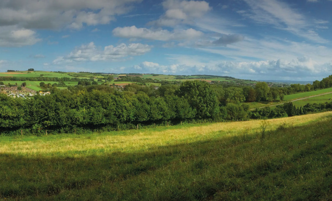 Kandidatenlijst 2022