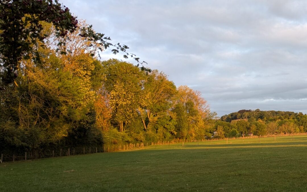 Natuur trekt aan het langste eind
