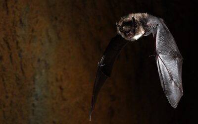 Op zoek naar openingen in Economisch Domein